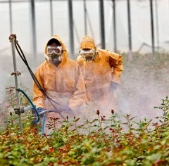 Отравление пестицидами1