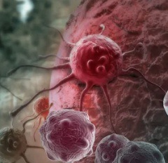 Причины рака2